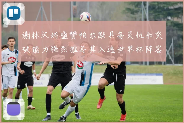 谢林汉姆盛赞帕尔默具备灵性和突破能力强烈推荐其入选世界杯阵容