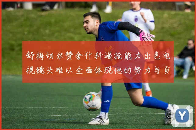 舒梅切尔赞舍什科逼抢能力出色电视镜头难以全面体现他的努力与贡献